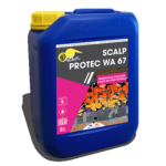 scalp-protec-wa-67